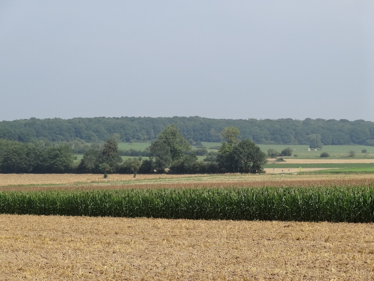 Fietsvakantie in België